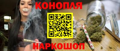 гидра Камышлов