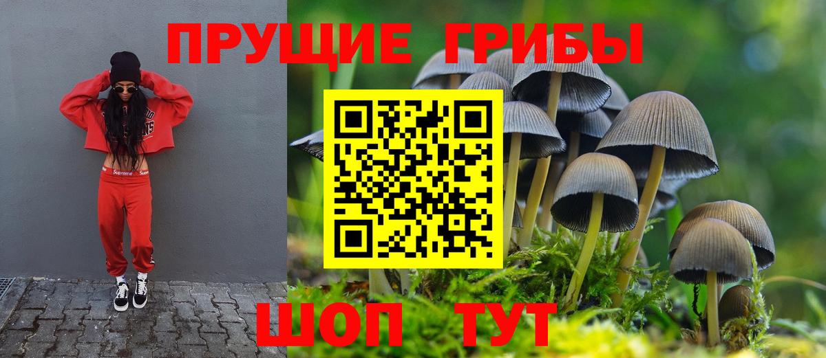 Галлюциногенные грибы прущие грибы  Псилоцибиновые грибы GOLDEN TEACHER  Вход с VPN  Красноуфимск 